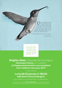 brigitte-allain-voeux-2017-1